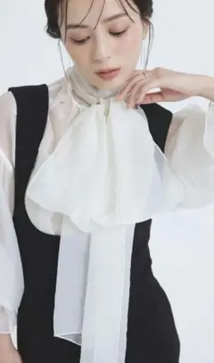シアーボウタイボリュームブラウス アニュアンス
