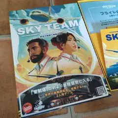 スカイチーム SKY TEAM ボードゲーム日本語版