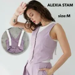 新品 未使用 ALEXIA STAM V ネック ベスト M アリシアスタン .