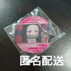 鬼滅の刃　竈門禰豆子　グリッターホログラム　キーホルダーvol.1