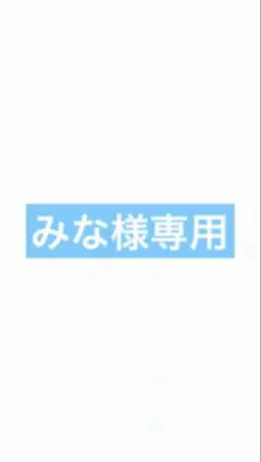 みな様専用ページ