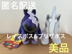 美品　ポケモンfit ブリザポス レイスポス 2点セット