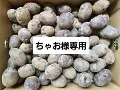 ちゃお様専用！俵マゼランじゃがいも小　10㎏