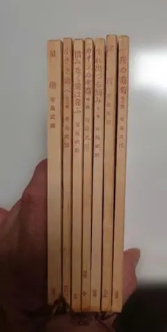 有島武郎 文学作品集 文庫本19タイトル7冊セット