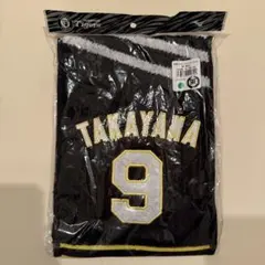 Item thumbnail for item 69b70b63-f320-4576-8e36-cdef77b94638