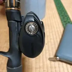 Item thumbnail for item 43794d45-a17a-46d9-8537-a565f3052584