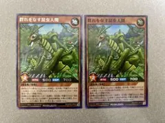 遊戯王ラッシュデュエル　群れをなす昆虫人間