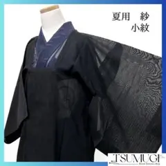 R8SK737 小紋 紗 夏物 薄物 風通織 紺色 青 風景 柄物 シルク 着物 