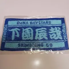 下園辰哉　ミニミニタオル　選手時代　新品未使用　横浜DeNA　ガチャ　背番号50