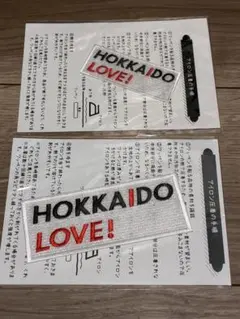 HOKKAIDO LOVE! ワッペン 2枚セット アイロン接着