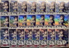 園田海未 PE エネルギー 22枚セット ラブカ ラブライブ