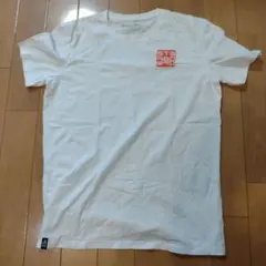 Item thumbnail for item a644a306-b429-4410-973f-debb0e79225b