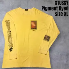 STUSSY ステューシー ロゴ ロンT カットソー XL サーフマン 8ボール