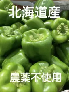 大分県産 カラーピーマン 3色 3kg 秀品 - メルカリ