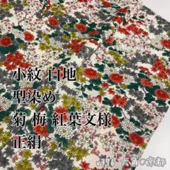 Item thumbnail for item 3acf682e-4896-4eab-b994-3059512fdb0f