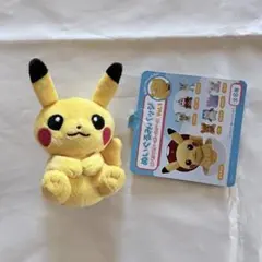 ポケモン ぬいぐるみバッジ モンスターボール ピカチュウ