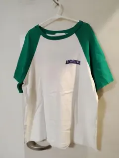 WEGO ロゴ ラグランTシャツ グリーン S