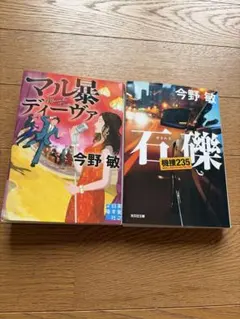 石礫　機捜２３５　マル暴ディーヴァ