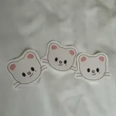 スキズ　ペンミ　ジニレット　落下物　コンフェッティ