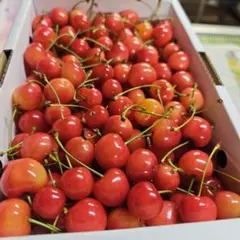 ３０日ーQ　　加工用　紅秀峰　１ｋｇ　過熟気味のサムネイル