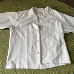 Item thumbnail for item 12a97282-d3c7-4b14-aa22-6ed9eaacb050