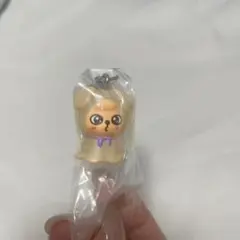 skzoo めじるしアクセサリー　パピーム　スンミン　スキズ　ガチャ