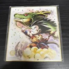ドラゴンボール ART 色紙 少年悟空 神龍