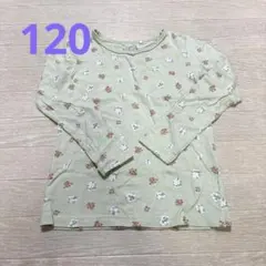 西松屋　エルフィンドール　薄手ロンT 120