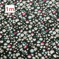 2026Sale!　ビル　カーキグリーン　1ｍ～　リバティ　タナローン