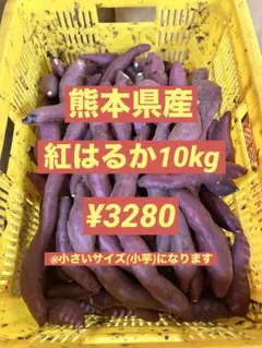 紅はるか10kg(熊本県産)のサムネイル