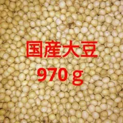 国産大豆　約１ｋｇ　内容量９７０ｇ　豆乳　煮豆・味噌・ソイリッチにどうぞのサムネイル
