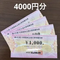 ビックカメラ 株主優待券 4000円分