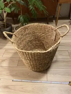 Item thumbnail for item abcc4d87-2cd7-4027-beb2-5e7d9dad6cad