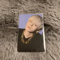 treasure ヨシ　Night Garden トレカ