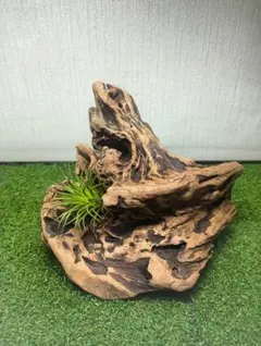 Item thumbnail for item 34293061-3710-43b6-aecb-e843fdba2bd4