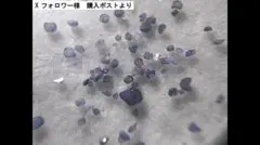 まの(*´∀｀*)人(◍ ´∞` ◍)様 リクエスト 2点 まとめ商品