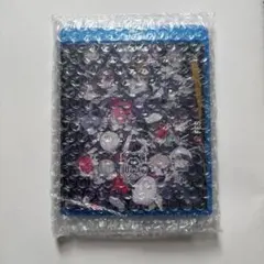 i*n様 crazyraccoon fes 2025 Blu-ray 未開封 - メルカリ