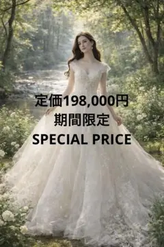 No.14豪華ビーズ刺繍 ロングトレーン ウェディングドレス プリンセスライン