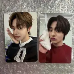 【匿名配送】ALD1 ショーケース 特典トレカ リオ