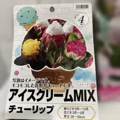 りぺっち様 リクエスト 2点 まとめ商品