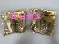 STARBUCKS スターバックス★ミニカップギフト ミニチュア 2個セット