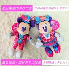 ぬいぐるみバッジ ミッキー ミニー ファンダーランド パルパルーザ　ディズニー