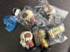 Item thumbnail for item 34a1936a-5f59-4e0f-b47e-1905e093162b