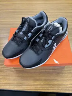 お値下げ！ゴルフシューズ『NIKE INFINITY PRO 2 W』のサムネイル