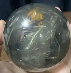 ワンピの実 リリス カプセルあり ワンピース