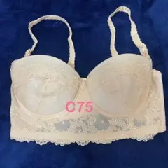 【未使用】フォーシス　ブライダルインナーのサムネイル