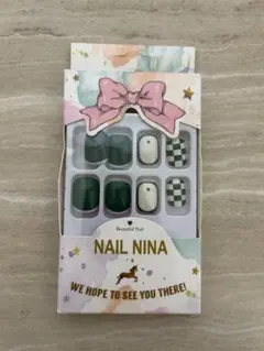 Nail Nina ネイルチップ 10個入り