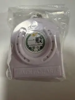 ☆レースファンファーレ 一般 中京・小倉☆