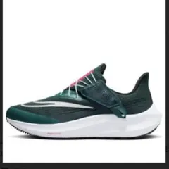 ナイキ ペガサス フライイーズ　US6.5 23.5センチ　中古　イージーオン