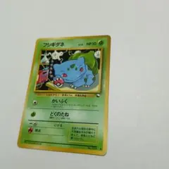 フシギダネ